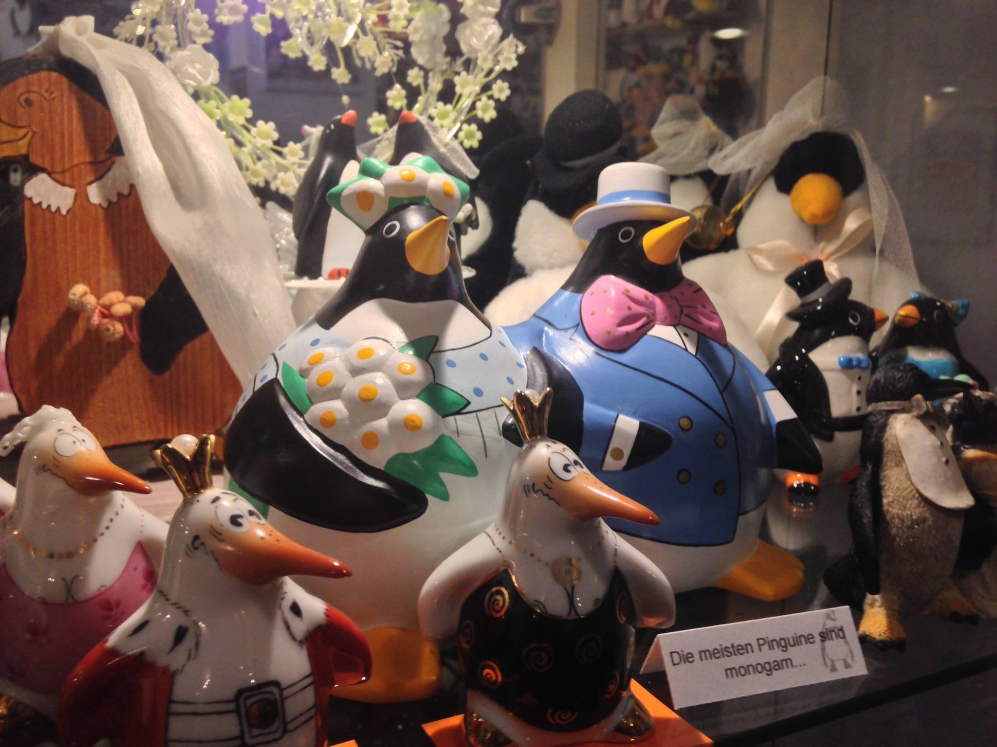 👻 수상한 소년소녀 박물관 (아야시이 쇼넨 쇼죠 하쿠부츠칸) 이미지 6